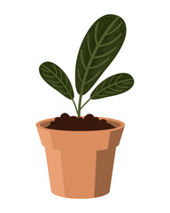 houseplant vector icon