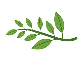 matcha leaves icon
