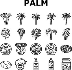 palm oil tree leaf plant icons set vector. summer white coconut, green nature, beach exotic, branch forest, tropical foliage palm oil tree leaf plant black contour illustrations
