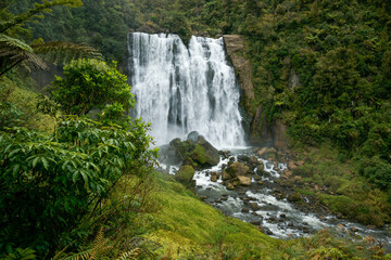 Fototapeta na wymiar Waterfall in Tauranga area.