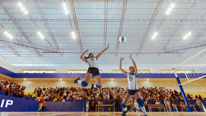 Female volleyball players in action on professional stadium.
