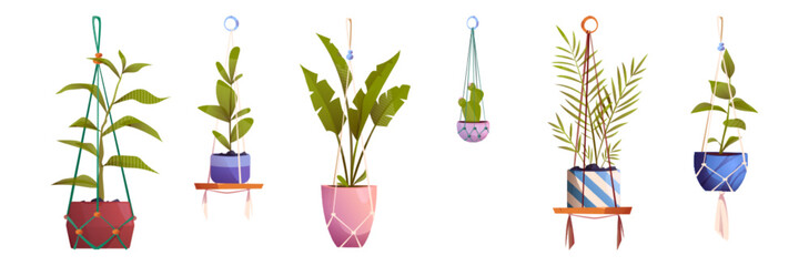 House plants in macrame hanging pots, isolated of flowers in rope hangers. Green planters in handmade holders for home interior decoration on white background, Cartoon vector illustration, icons set