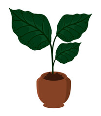 houseplant icon isolated