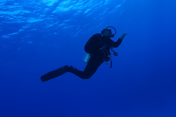 Divers waiting at the safety stop. Underwater bubbles, water bubbles. Safety stop while diving. Red Sea, Egypt.