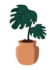 houseplant tropical leaf