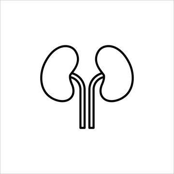 recommend clip art: kidneys icon. outline icon