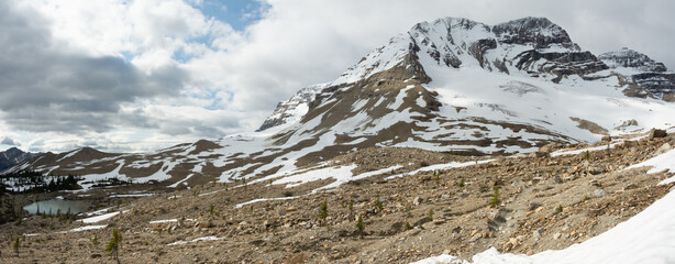 Rocky alpine environment with melting snow, Yoho National Park