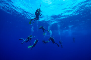 Divers waiting at the safety stop. Underwater bubbles, water bubbles. Safety stop while diving. Red Sea, Egypt.