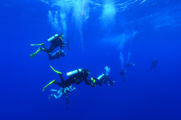 Divers waiting at the safety stop. Underwater bubbles, water bubbles. Safety stop while diving. Red...