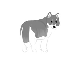 Fototapeta premium Siberian husky dog illustration