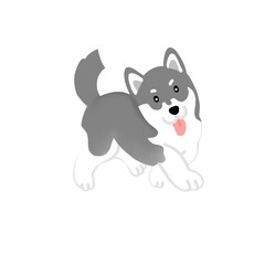 Siberian husky dog illustration