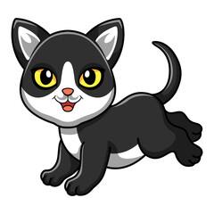 Cute black smoke cat cartoon