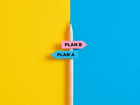Choosing between plan a or plan b in alternative business strategy.