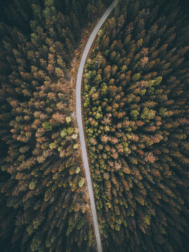 Aerial View of Autumn Forest Road, Gysinge, Sweden