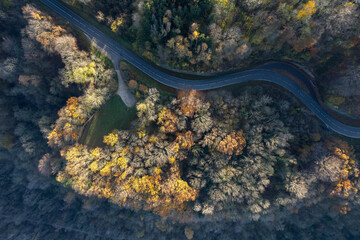 Route entre les arbres vue de dessus en automne