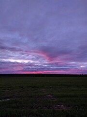 sunset over the field