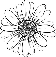 Linear daisies and leaves. Hand drawn illustration. This art is perfect for invitation cards, spring and summer decor, greeting cards, posters, scrapbooking, print, etc.