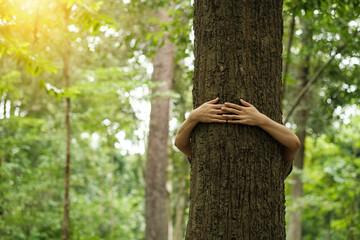 Environment and respect for Earth nature concept - adult woman hugging a green tree in the forest - save the planet and climate change - defocused background wih nature