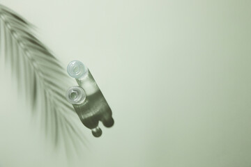 top view of green background with subtle palm leaf and transparent glassware