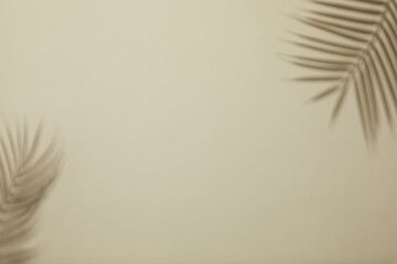 top view of beige background with subtle palm leaf and transparent glassware