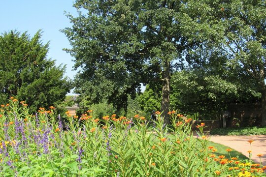 Beautiful park with a lake and different flowers on a sunny day