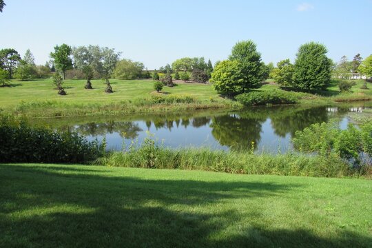 Beautiful park with a lake and different flowers on a sunny day