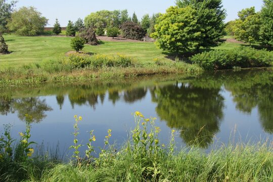 Beautiful park with a lake and different flowers on a sunny day