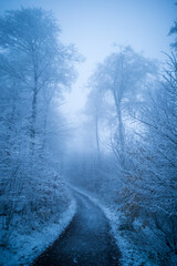 wanderweg im winterwald, nebel, geringe schärfe