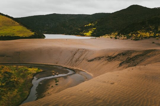Scenic shot of Lake Wainamu surrounded by dunes and green plants in New Zealand