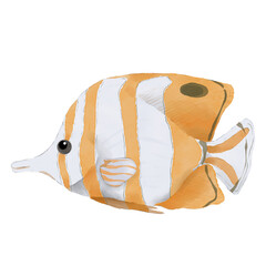 fish isolated on white background