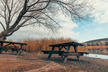 Empty wooden picnic tables next to tree by the Blue Lake I Mavi Gol in autumn in Ankara. Ducks swimming in the lake. Seasonal scenery background. Beautiful autumn landscape. © Myst