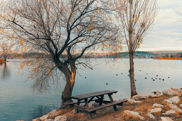 Empty wooden picnic table next to trees by the Blue Lake I Mavi Gol in autumn in Ankara. Ducks swimming in the lake. Seasonal scenery background. Beautiful autumn landscape. © Myst