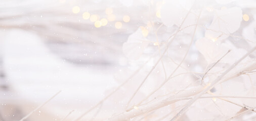 Light winter background with white branches . Selective focus, space for text