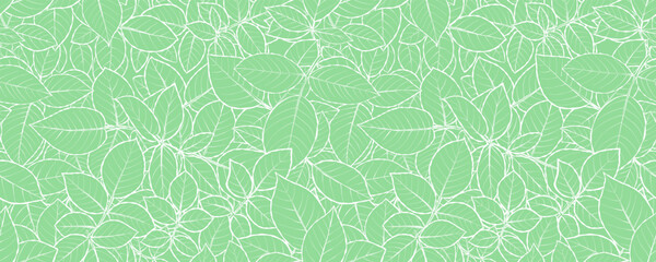 Horizontal banner. Green mint leaves. Dense seamless pattern. Vector.