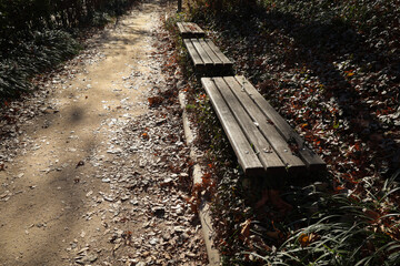 bench in park