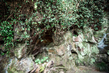 Hiking Trail In the Hangzhou Zoo. Beautiful nature