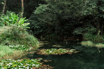 Hiking Trail In the Hangzhou Zoo. Beautiful nature