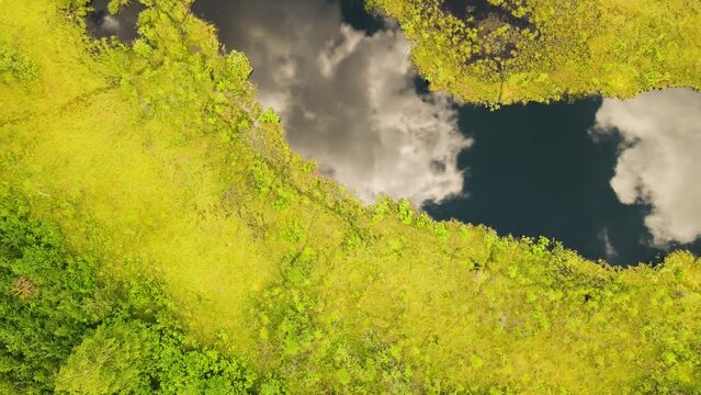A beautiful, deep, swampy lake, the sky is reflected in the water. Bird's-eye view, a fabulous pond with green vegetation along the banks. Wildlife concept. UHD 4K.