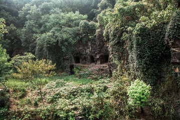 Fototapety na wymiar - Fototapeta24.pl