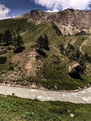 nature flowers water lake river mountains sky green trees roses