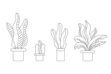 Potted plants of indoor plant set by black thin line set collection illustration.