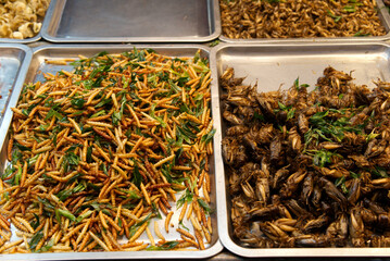 Thai street food fried insects