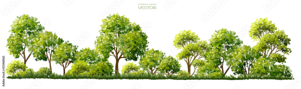Wall mural abstract vector watercolor ,tree or forest side view isolated on white background for landscape and 