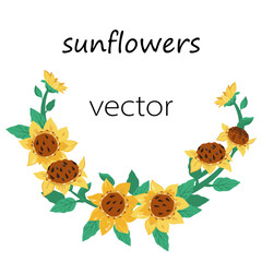 Sunflowers semi-circle design element vector illustration isolated on white. Wreath part or garland of flowers for cards and prints, food and cosmetics labels.