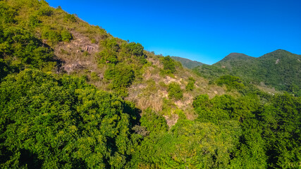 the landscape of vegetative, the nature concept