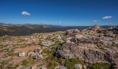 Fototapeta na wymiar Rocky Mountain Views on the Alpine Trail Ridge, Rocky Mountain National Park, Colorado