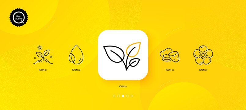 Leaf dew, Leaves and Natural linen minimal line icons. Yellow abstract background. Grow plant, Potato icons. For web, application, printing. Water drop, Grow plant, Organic tested. Leaves. Vector