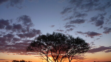 Sonnenuntergang Outback