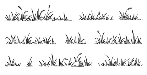 Grass doodle sketch style set. Hand drawn grass field outline scribble background. Sprout, flower, clover elements. Vector illustration. - obrazy, fototapety, plakaty