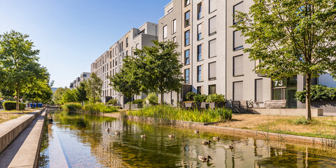 Germany, Baden-Wurttemberg, Heidelberg, Ducks swimming in pond stretching in front of modern suburban apartments in Bahnstadt district